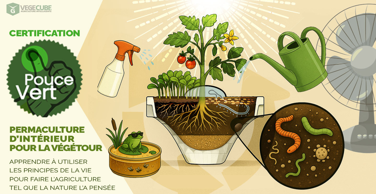 permaculture d'intérieure
