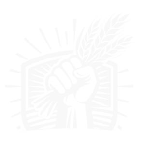 media-logo-menu-1-logofondationvegecube.png
